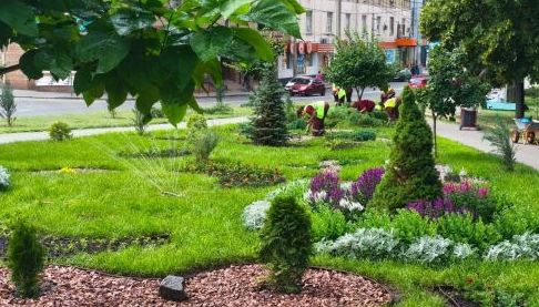 Харків перетворюється на зелену столицю: масштабний проект озеленення у 2025 році