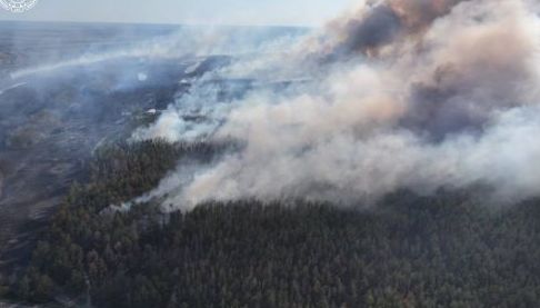 Необережність призвела до масштабної лісової пожежі в Балаклії: підозрюваному загрожує багаторічний ув’язнення