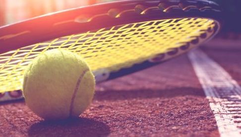 Світоліна виграла $872 тисяч за півфінал Australian Open
