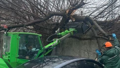Небезпечне дерево впало на Tesla біля лікарні в Харкові
