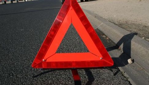 Бойовий котик Сірко: Як волонтери врятували військового кота на Харківщині