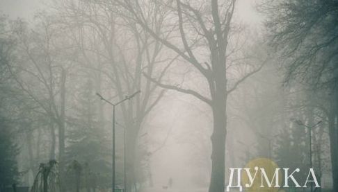 Харківщина на порозі сильної відлиги: прогноз погоди на 29 січня