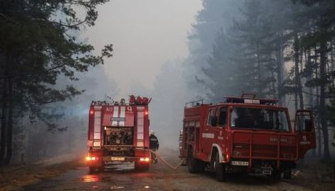 Харківські ліси: Підготовка до пожежного сезону та розмінування територій