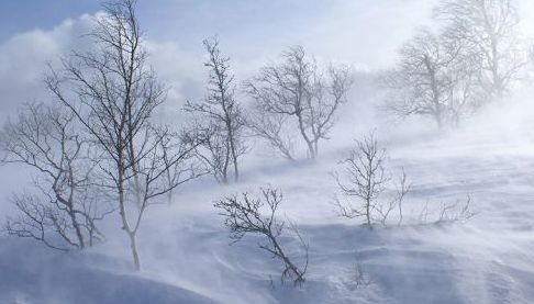 У Харкові та на Харківщині оголошено жовтий рівень небезпечності через сніг, хуртовину та ожеледицю