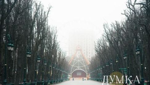 Туман та ожеледиця на Харківщині: як і коли чекати небезпечну погоду
