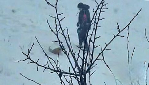 Харківські поліцейські розслідують відео з можливими знущеннями з собакою