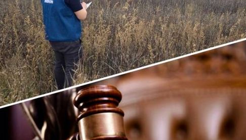Харківська прокуратура повертає ХТЗ 143 гектари землі