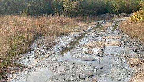 Екологічна катастрофа в Харкові: підприємство забруднило 4 гектари землі каналізацією