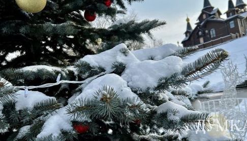 Погода в Харкові 21 січня: Синоптик розповіли про сніг і ожеледицю