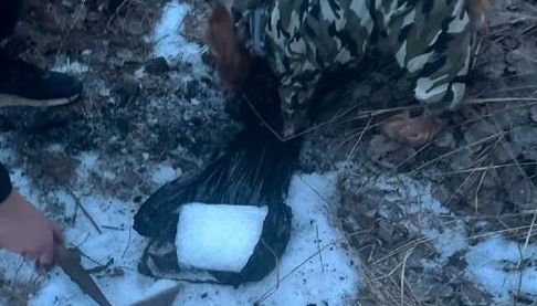 Службовий пес у Харкові виявив психотропи, що призвело до затримання