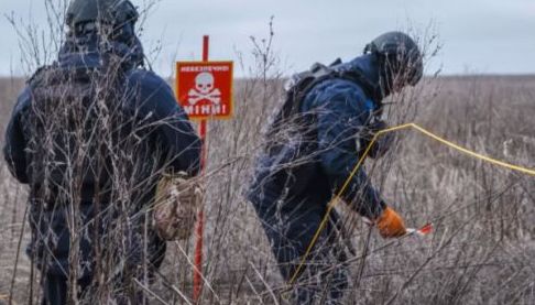 Розмінування територій в Харковаській області: Звіти про активність саперів