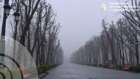 Складні погодні умови в Харковатській області 15 лютого: дощ, сніг, туман