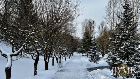 Погода в Харкові: Прогноз на 4 лютого