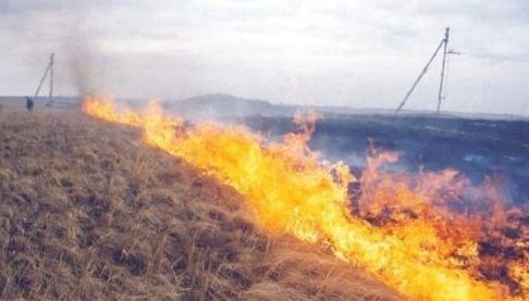 Ліквідація пожеж у Харкові та Змієві
