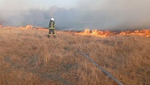 Пожежі в Ізюмському районі Харкова: рятувальники боролися з вогнем протягом доби