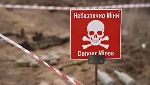 За тиждень на Харківщині сапери знешкодили 435 вибухонебезпечних предметів