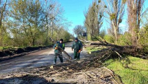 Буревій у Харкові пошкодив інфраструктуру в усіх районах міста