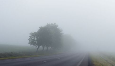 Туман на Харківщині: що потрібно знати