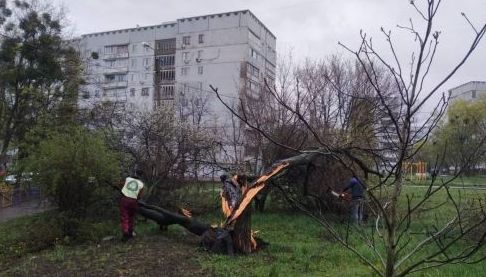Наслідки негоди в Харкові: комунальники ліквідовують пошкодження