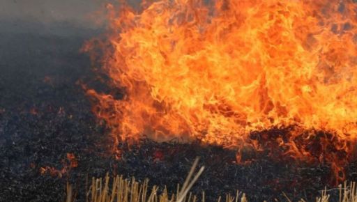 Понад 58 гектарів екосистем згоріло на Харківщині за тиждень через пожежі