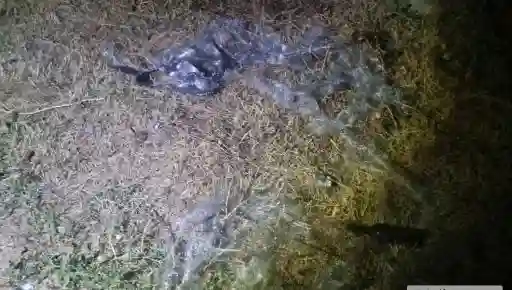 Дергачі під прицілом FPV-дронів: наслідки вечірніх атак