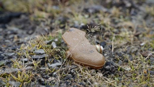 Смертельний випадок на Харківщині: чоловік підірвався на невідомому предметі