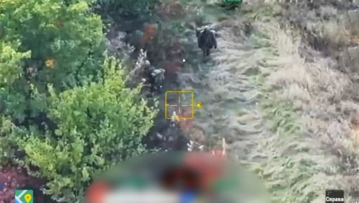 Як прикордонники бригади «Гарт» нищать ворожі штурмові групи на Харківщині